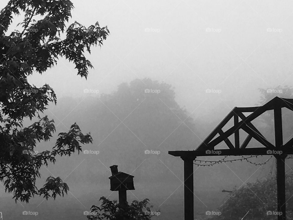Foggy pasture with pagoda and birdhouse in foreground in black and white. 
