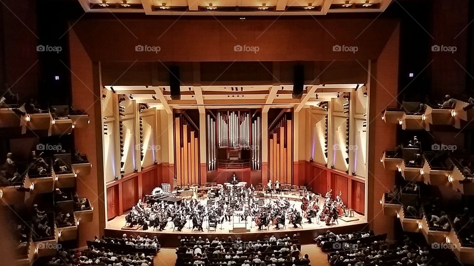 Symphony. Seattle Symphony presents Brahm's Symphony No. 1 in the S. Mark Taper Auditorium at Benaroya Hall.