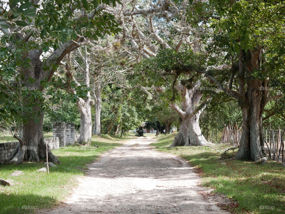 road to my friend's house un Zamorano