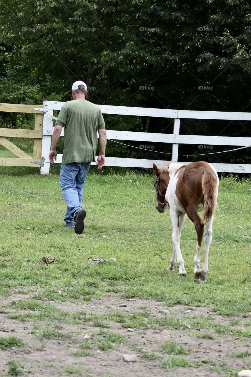 A boy and his horse