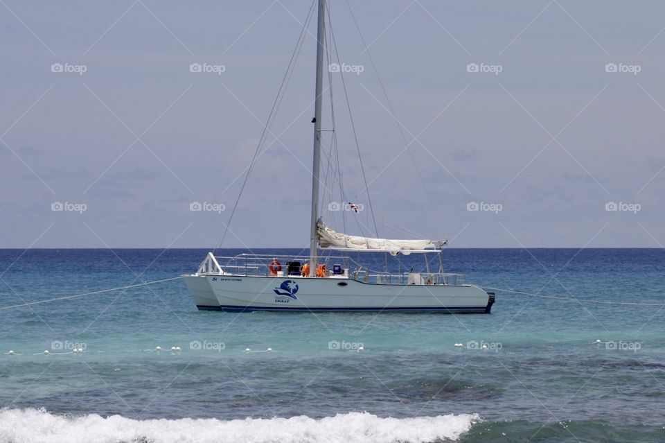 Catamaran 