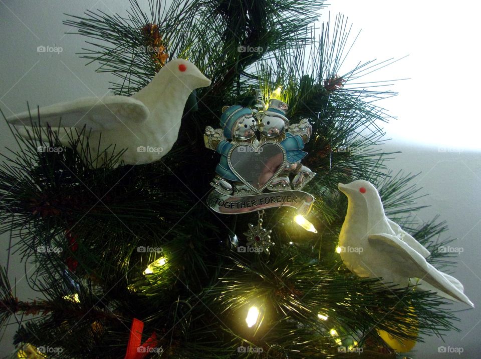 Christmas Doves
