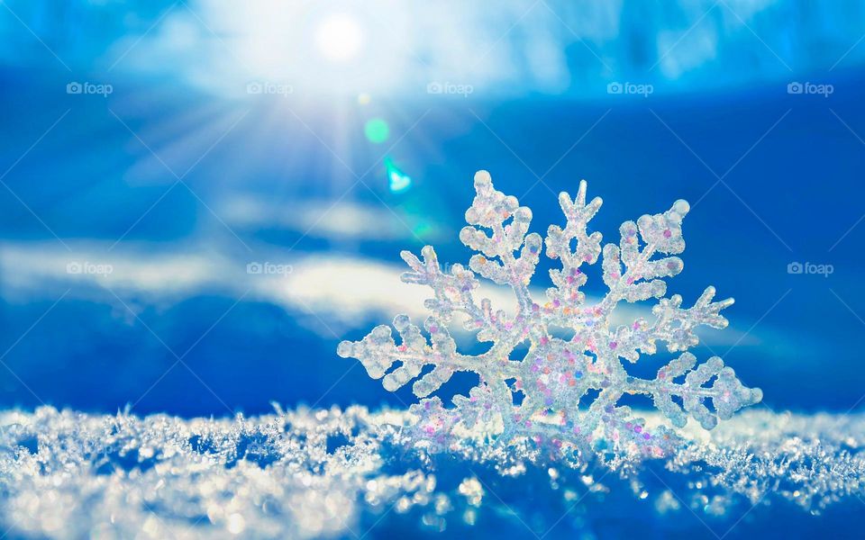 ❄️ SnowFlake macro lens