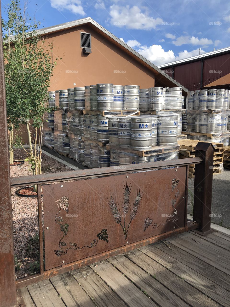 Beer Kegs