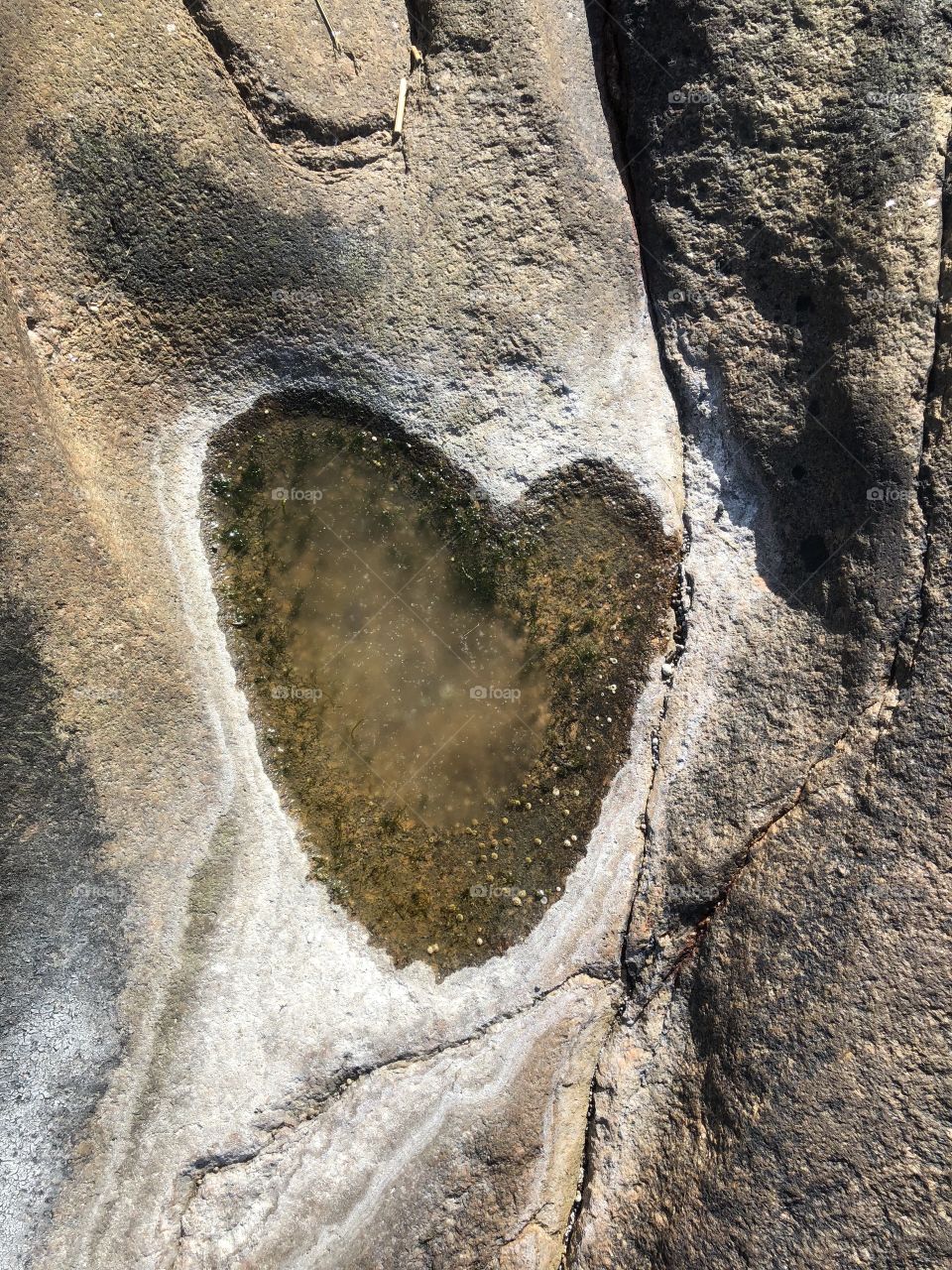 heart in stone