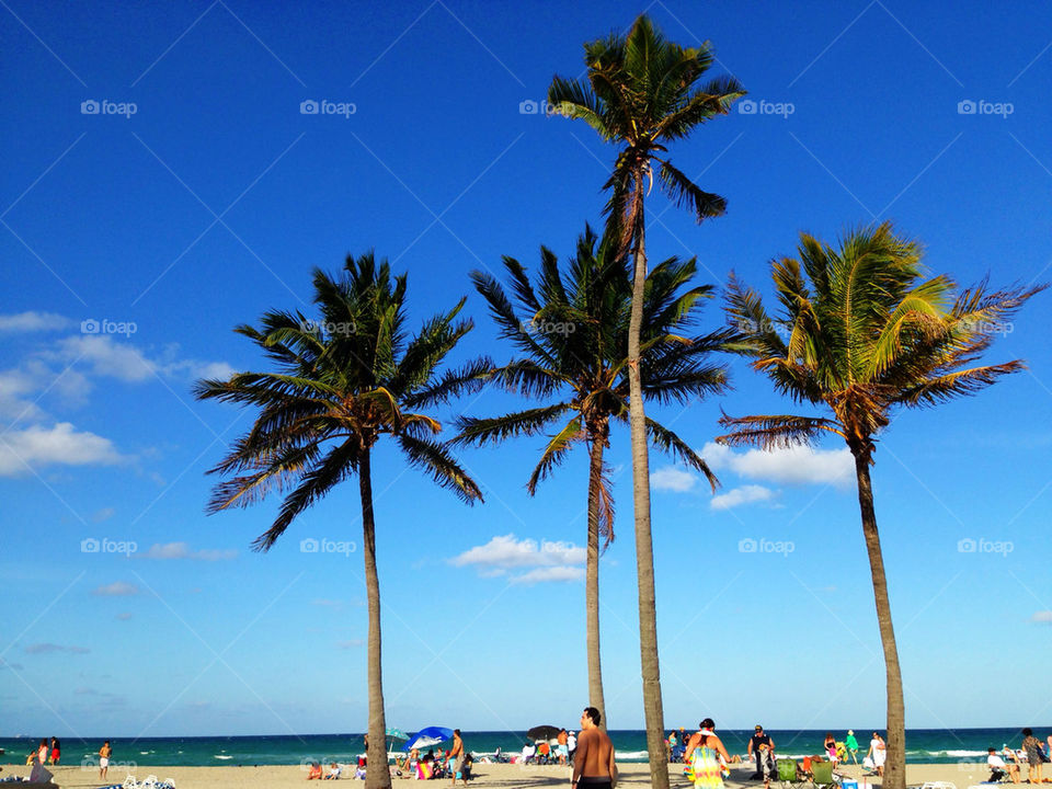 Hollywood Beach, Florida