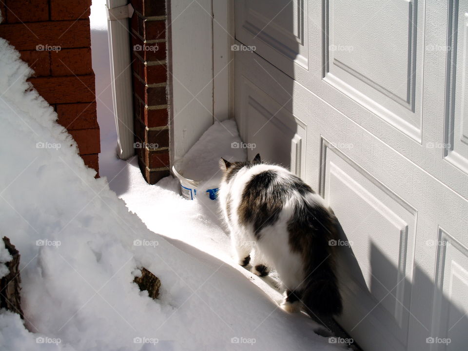 Window, Snow, Winter, House, Indoors