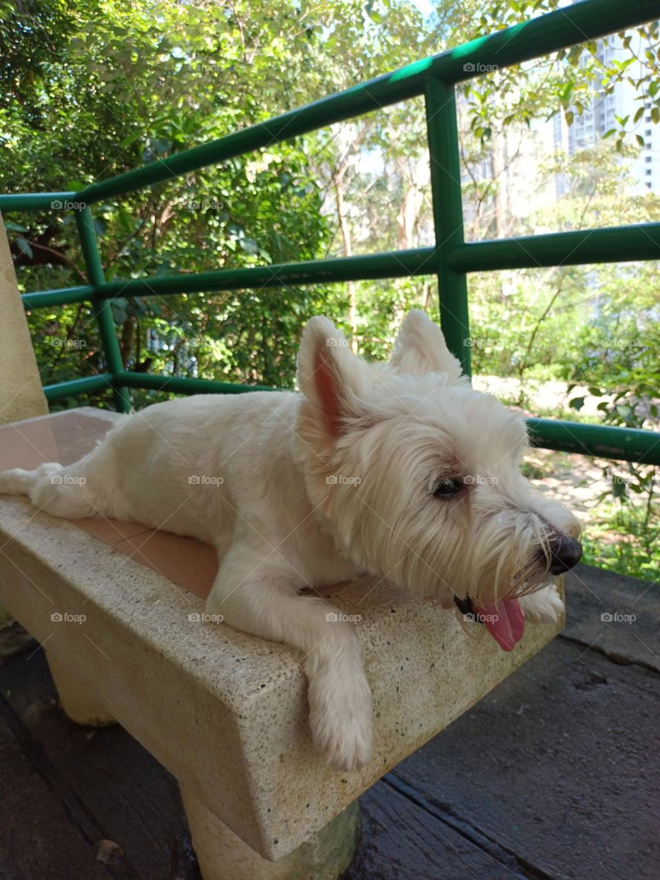 Chilling Barbie hiking time