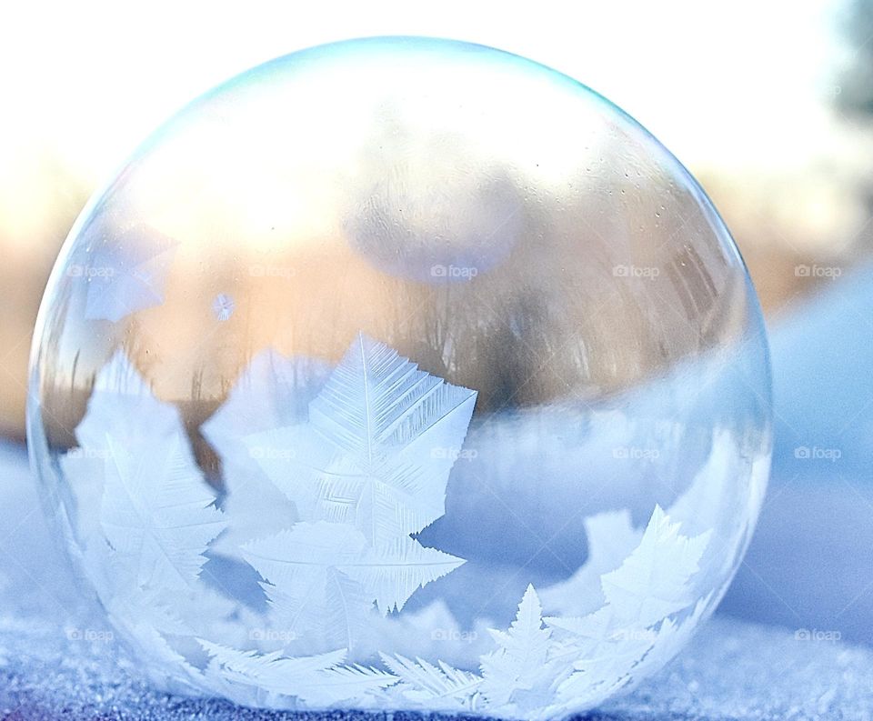 Ice crystals in a frozen bubble