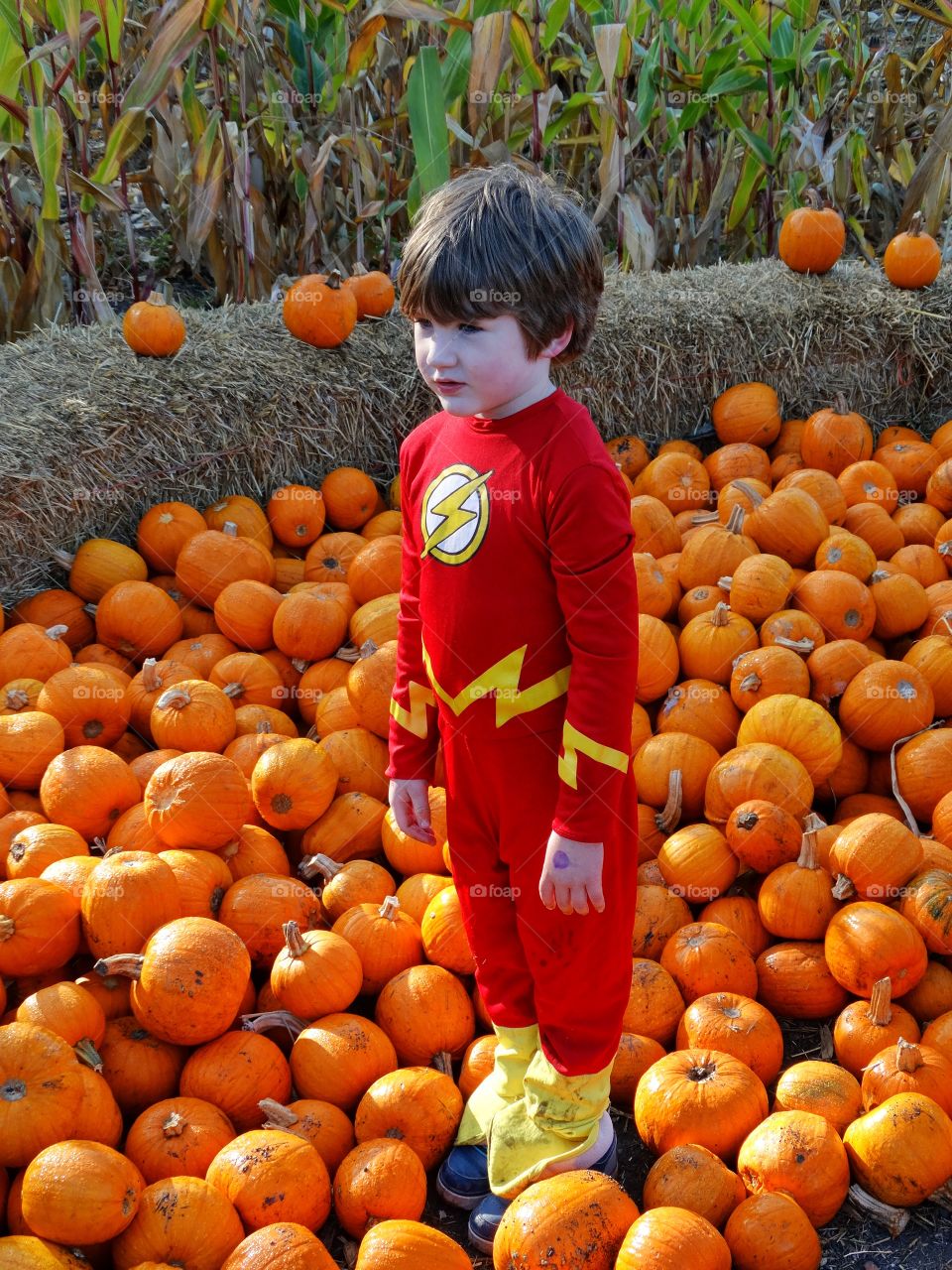 Young Boy Visiting The Pumpkin Patch
