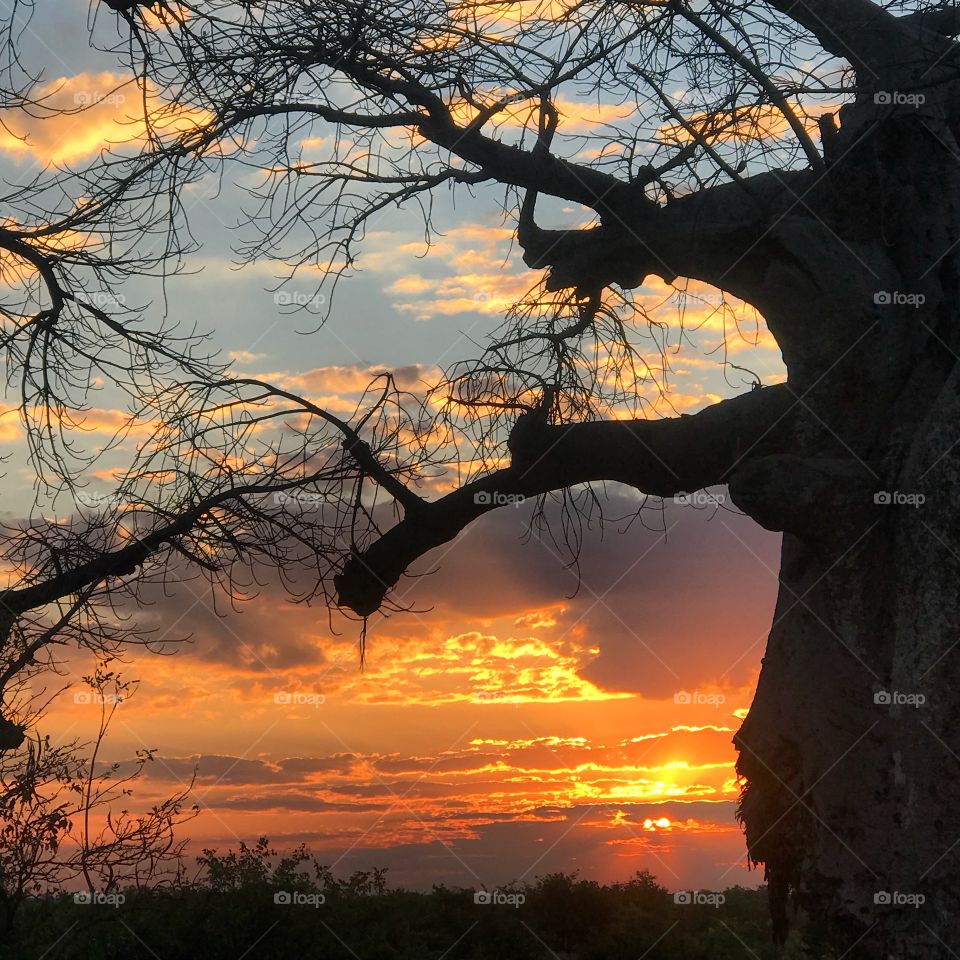 Sunset in Botswana 