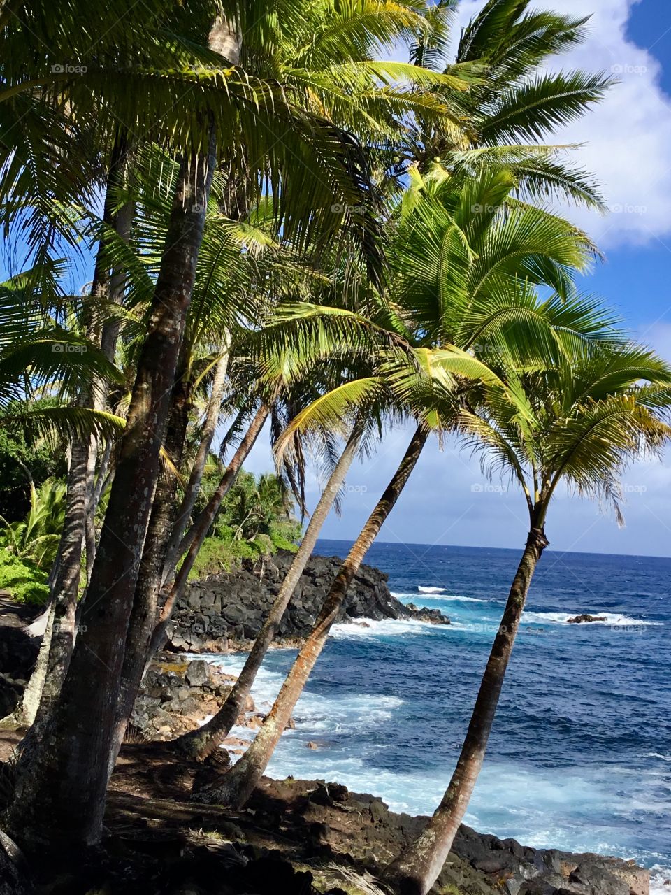 Bright sunny day in Hawaii