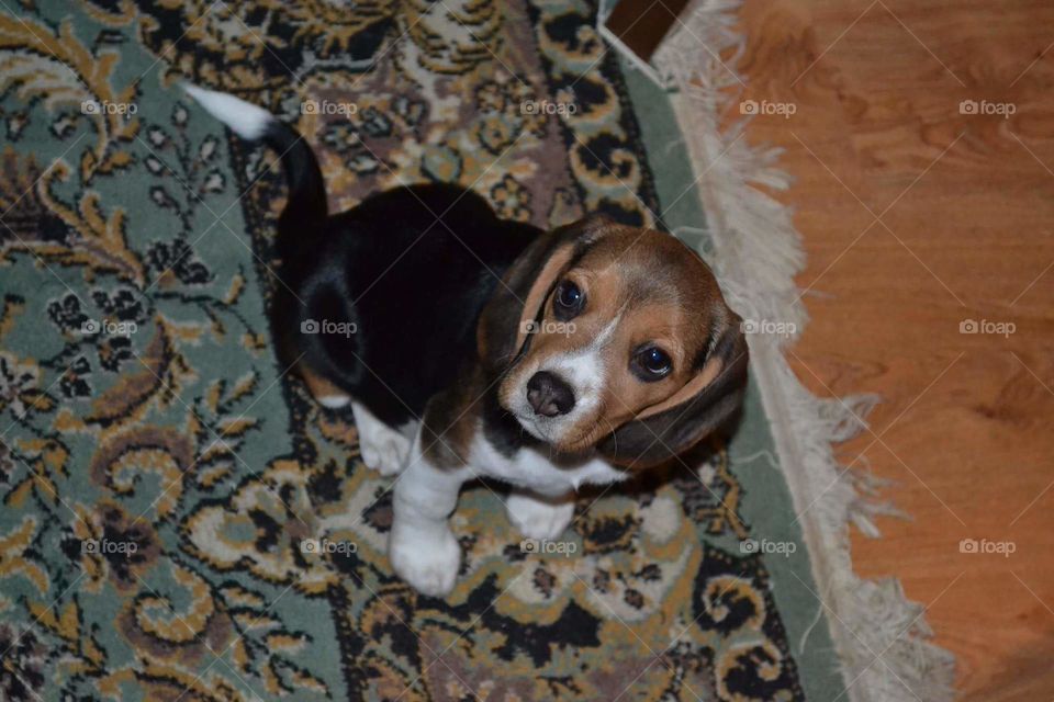 what are you looking at