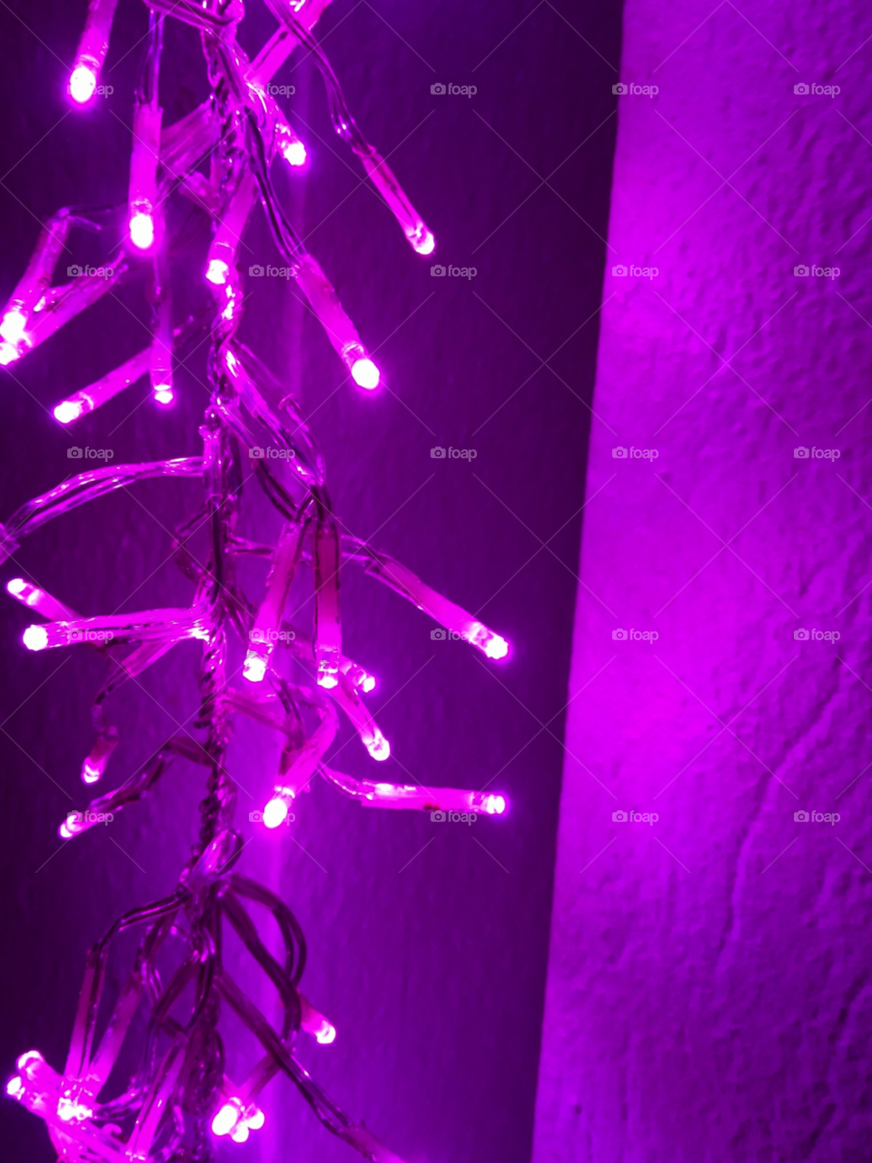 purple christmas lights trail by carina71