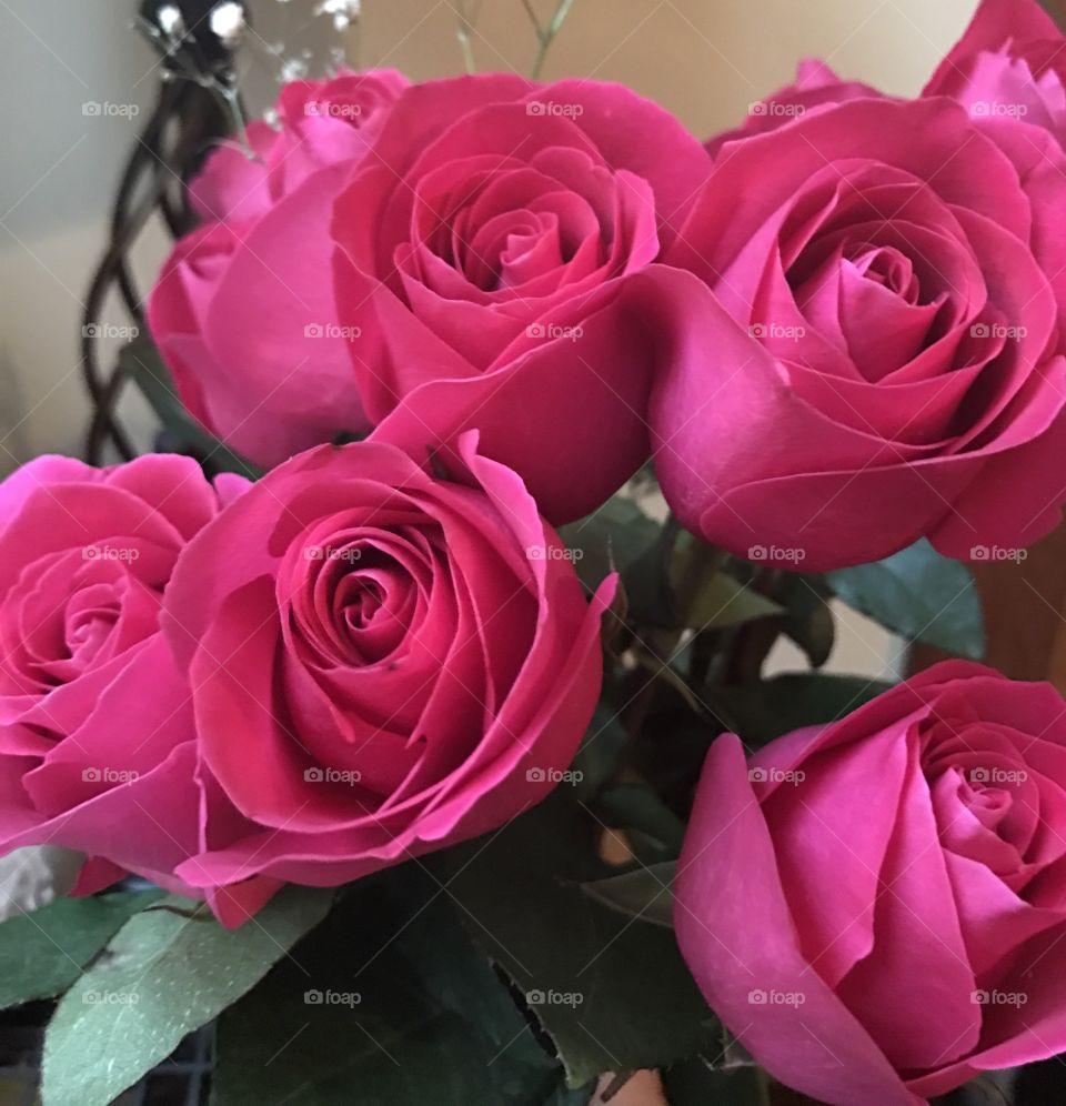 A gorgeous bouquet of roses for love 