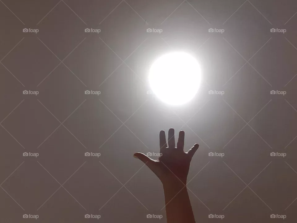 Into the Light