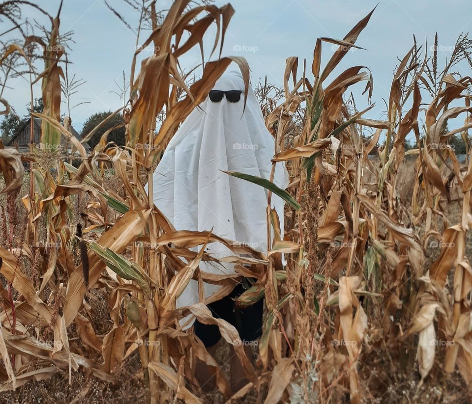 Halloween costume photo of a ghost among the autumn corn
