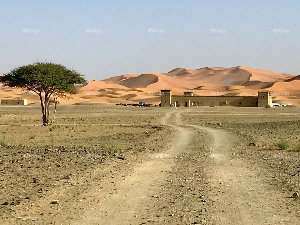 Doors of the espectacular Sahara Desert and its high dunes