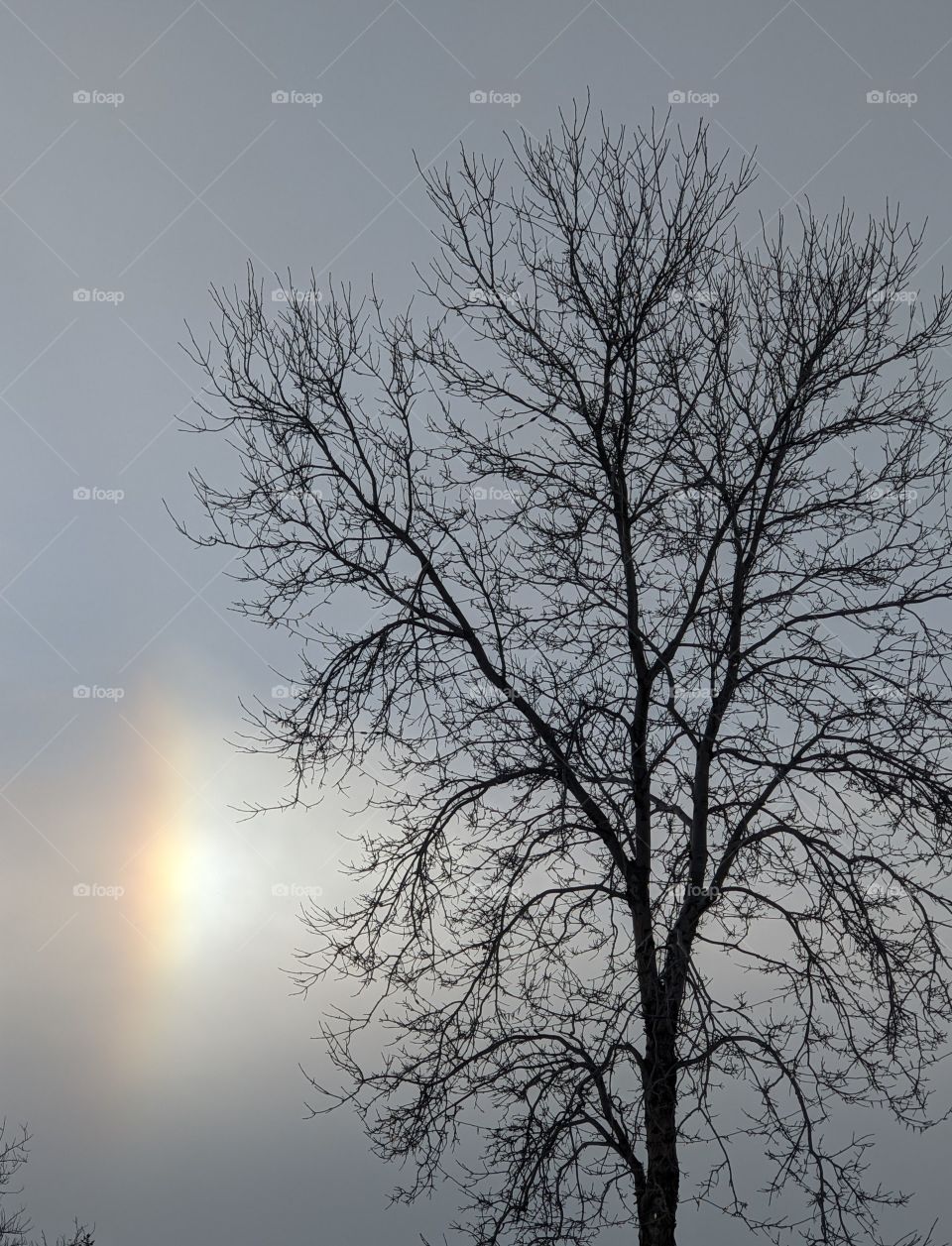 Sun dog on a brisk winter afternoon