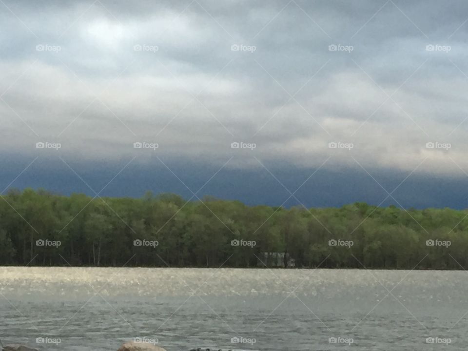 Trees with skyline and lake

