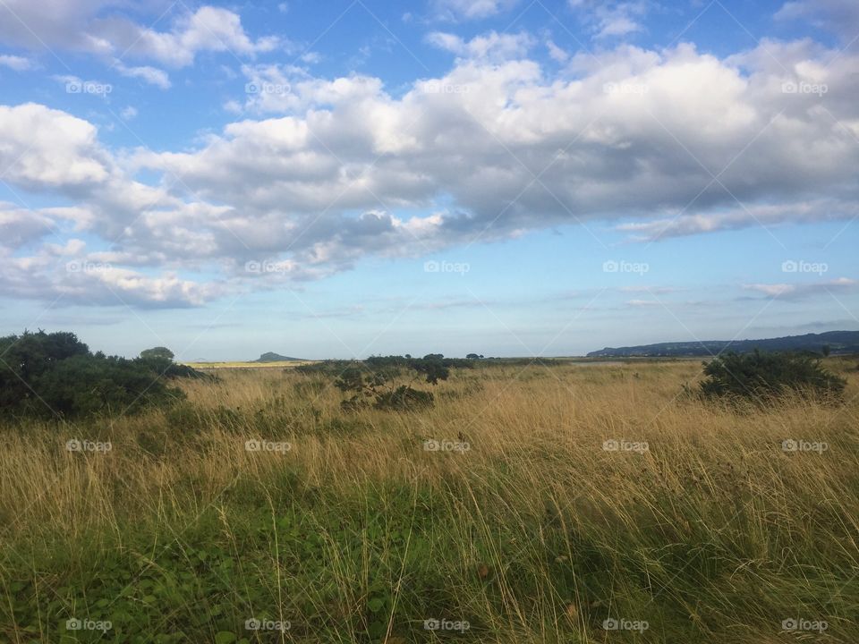 Landscape, No Person, Sky, Nature, Grass