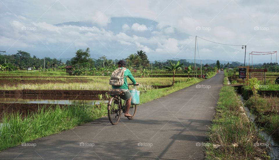 farmer cycling in ricefield with mountain in background