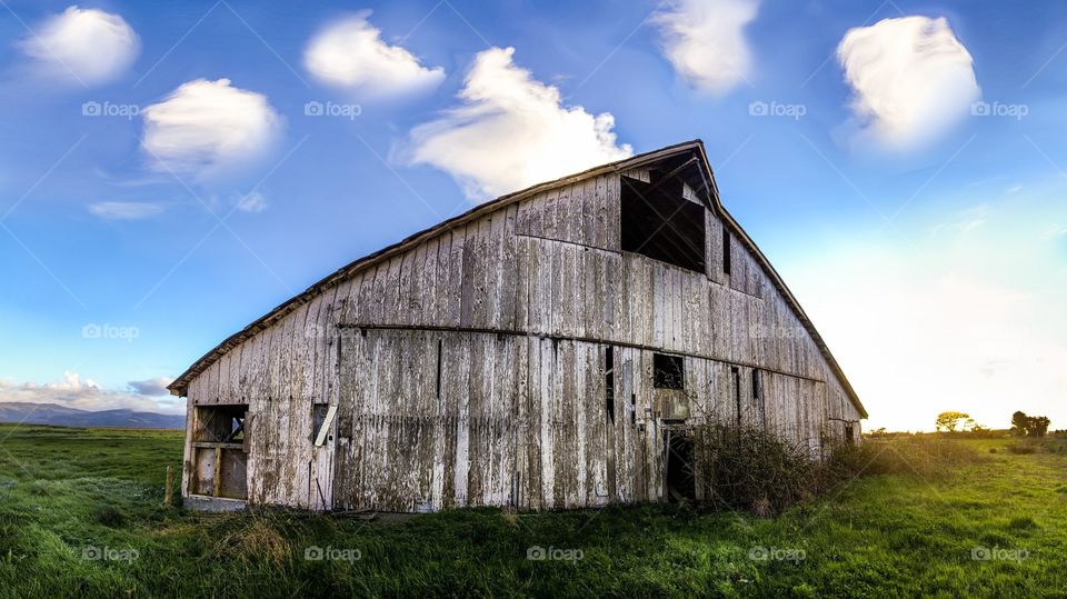 Barn on grassy field