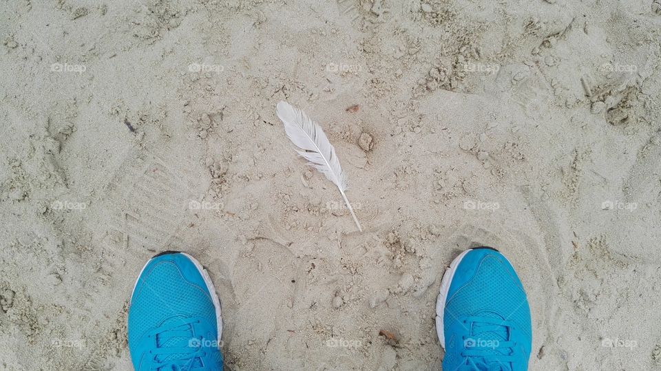 blue trainers and a white feather  on the sand