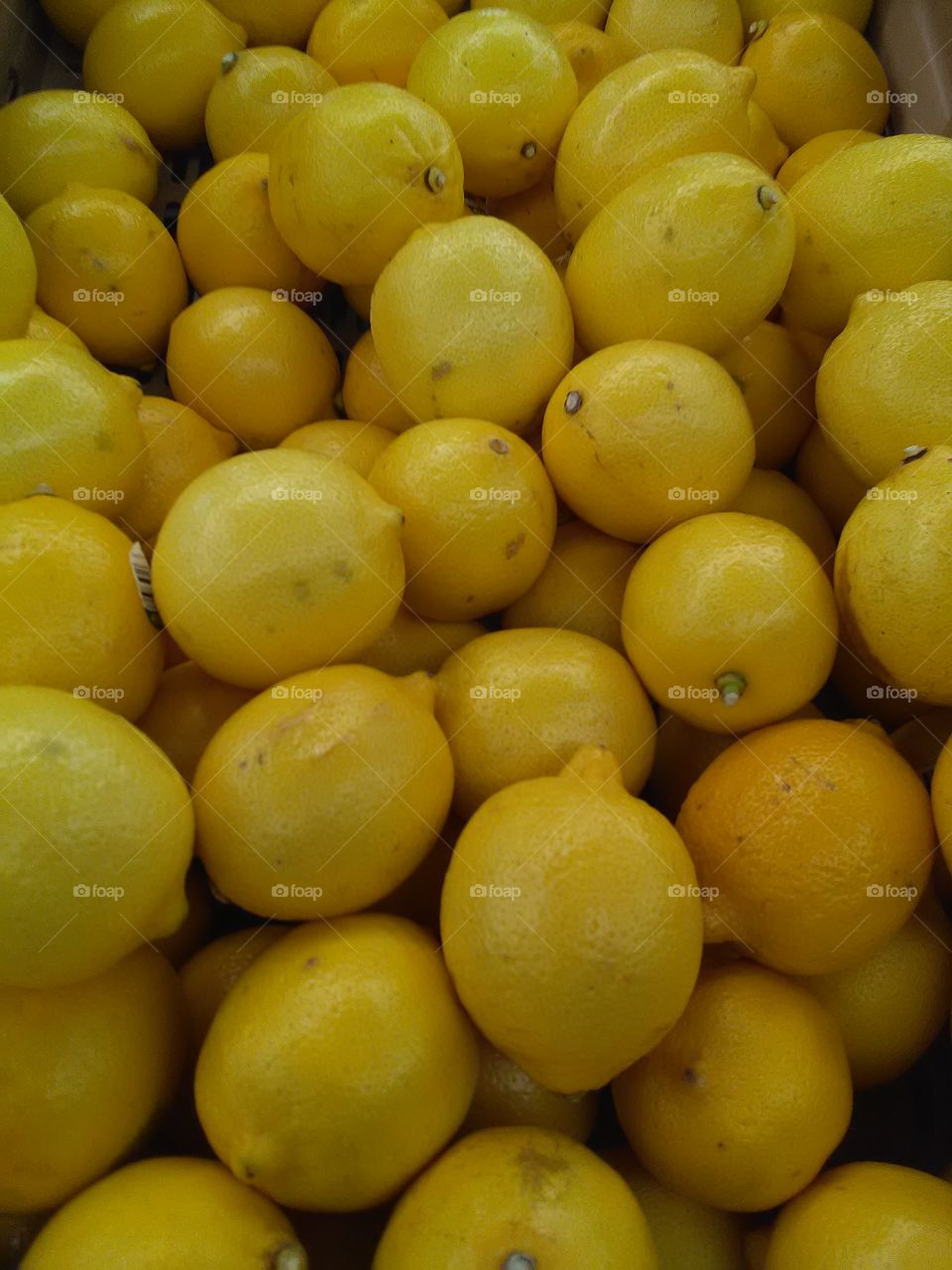 Full frame of a lemons