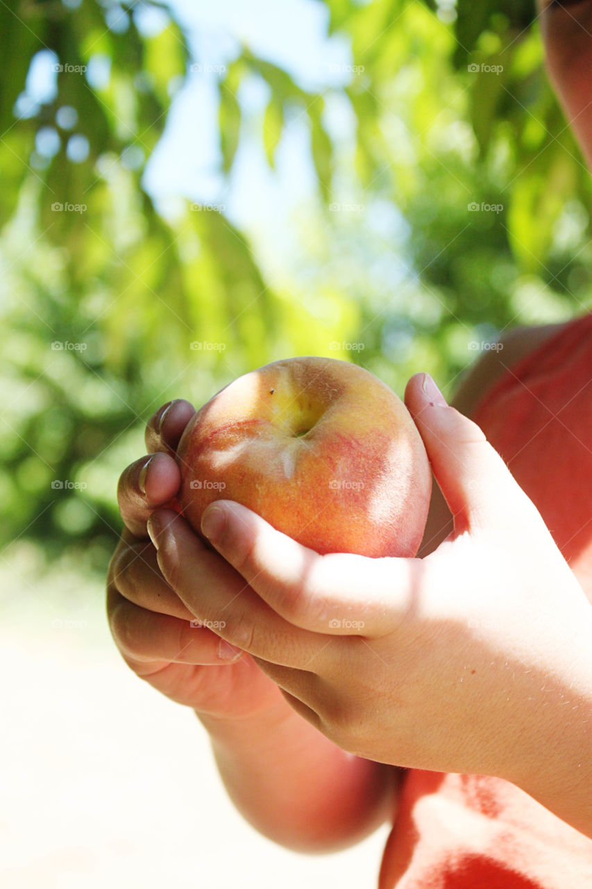 Hand holding peach