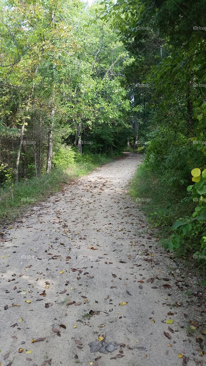 Path to Summer's End. Huron Meadows, Michigan