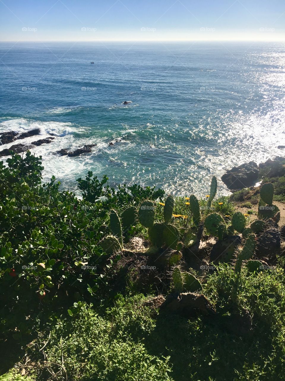 A lovely afternoon in Laguna Beach after the rain