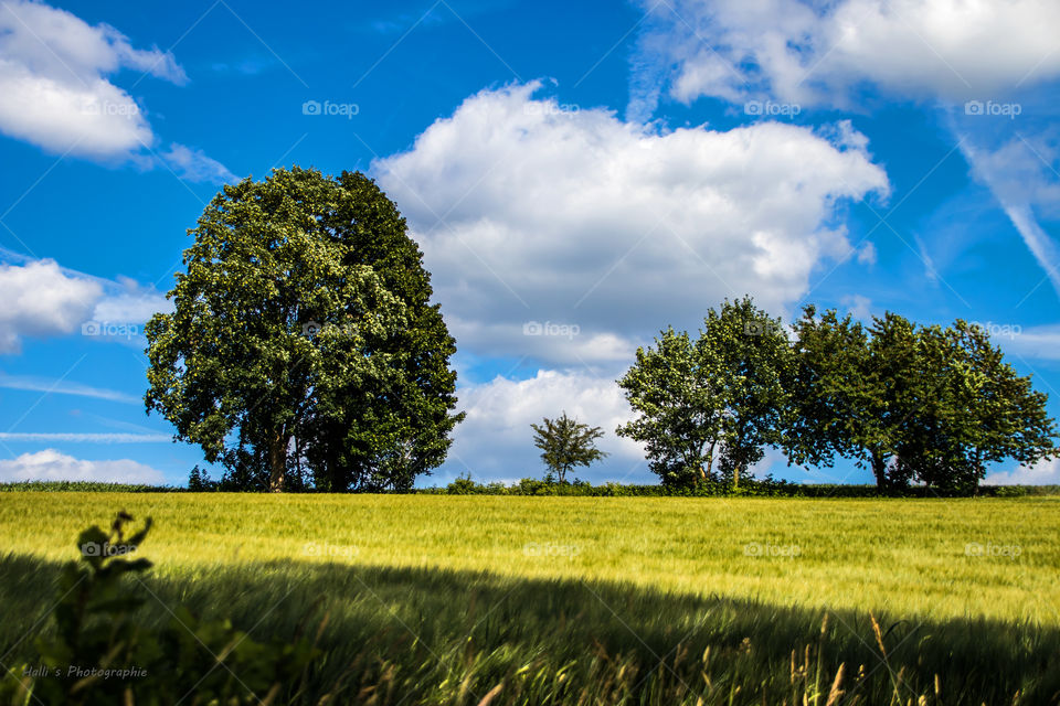 Landschaft in der Oberpfalz 