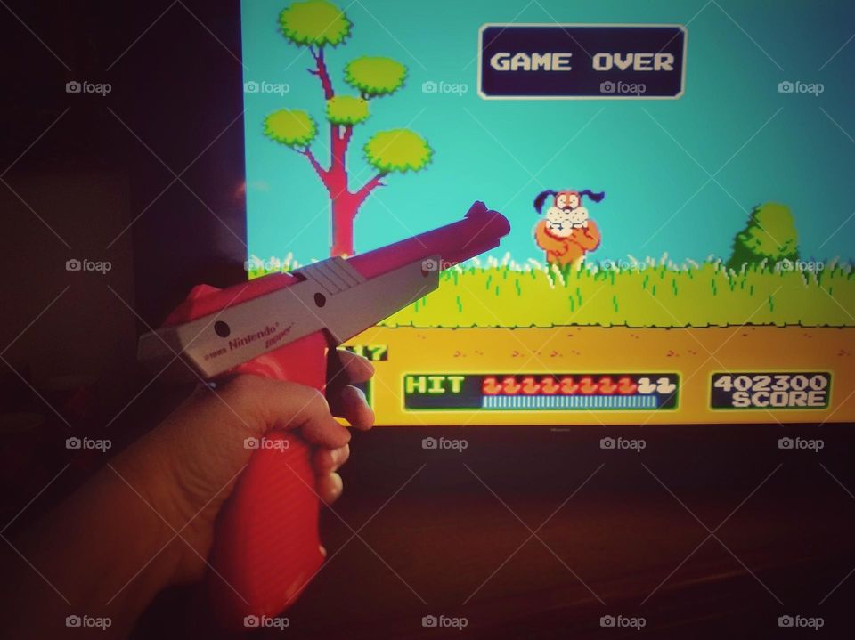 Playing Duck Hunt