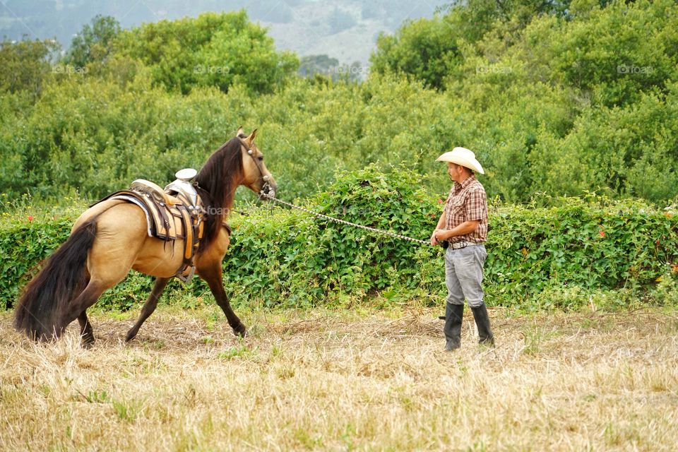 Cowboy With His Horse