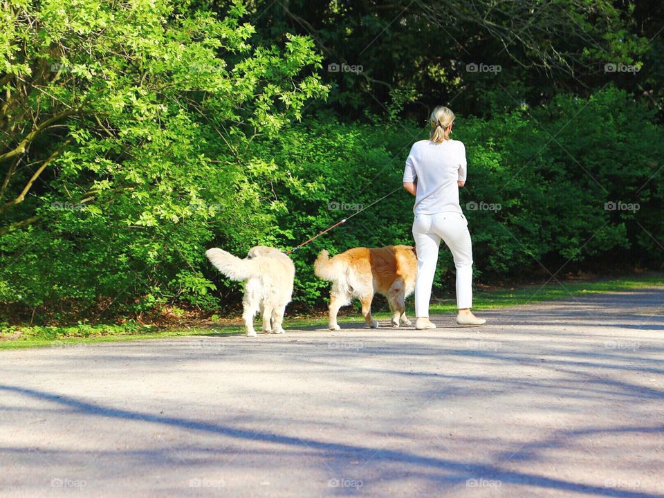 Woman in white walking two dogs in a park in summer