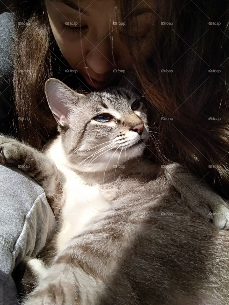 cat enjoying the Sun BLUE eyes