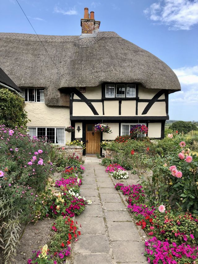English Country Garden 🌸