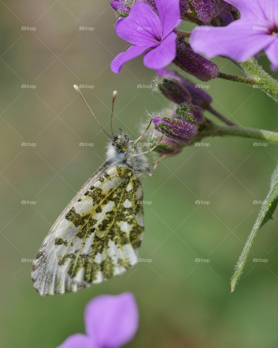 I look forward to many little visitors in the garden