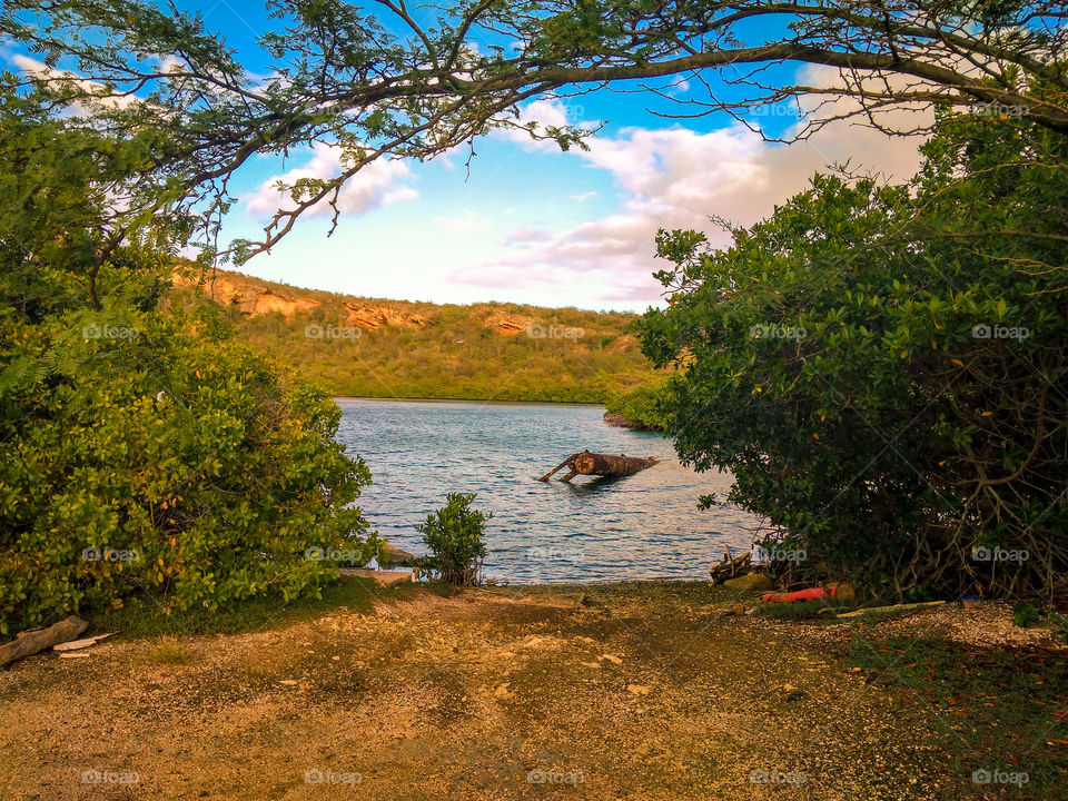 a door way in to the lake with that mesmerizing blue sky all made by mother nature 🌲 🌊