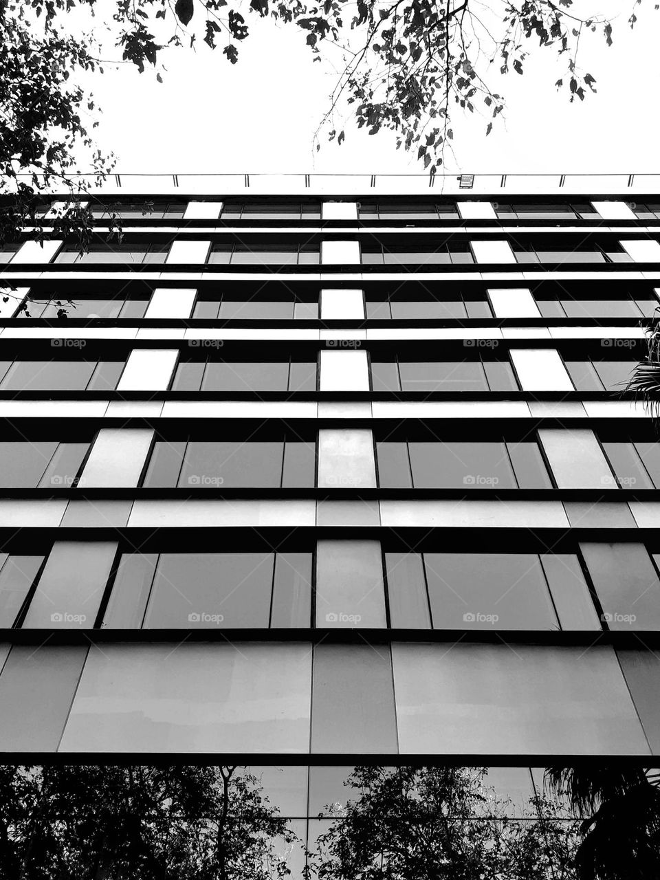 arquitectura en blanco y negro