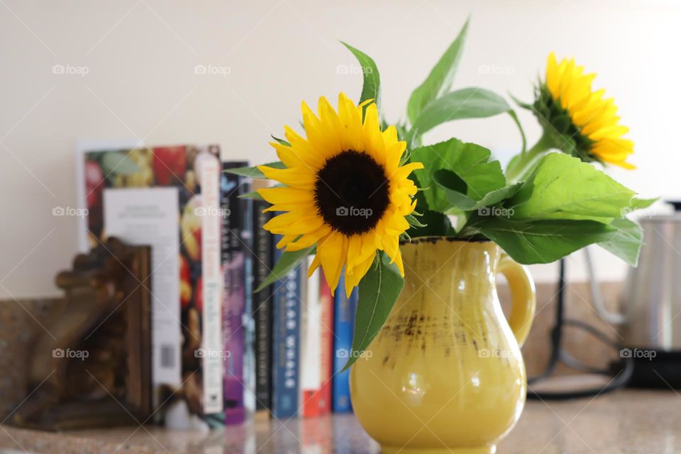 Sunflowers in yellow vase 