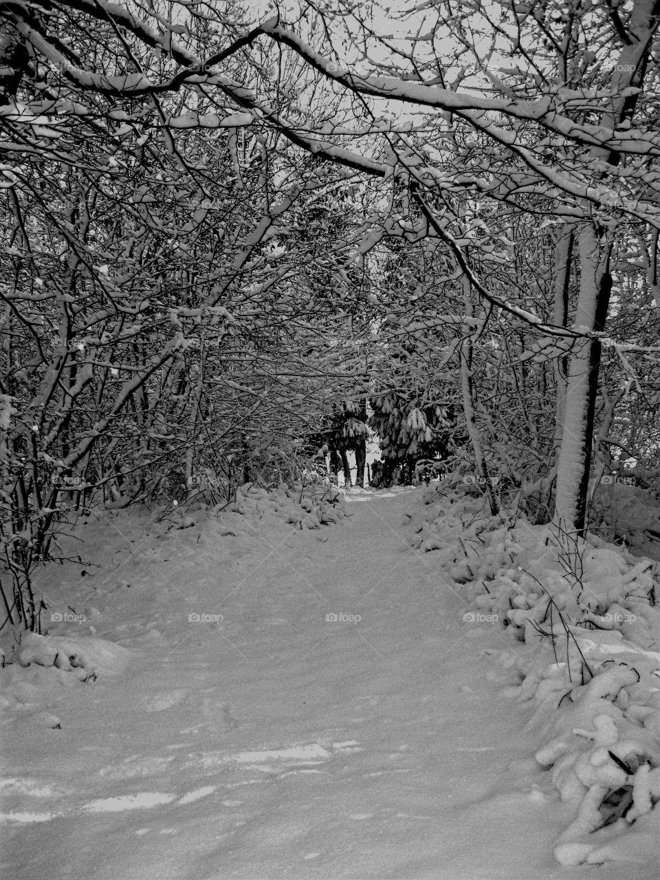 Snowy england