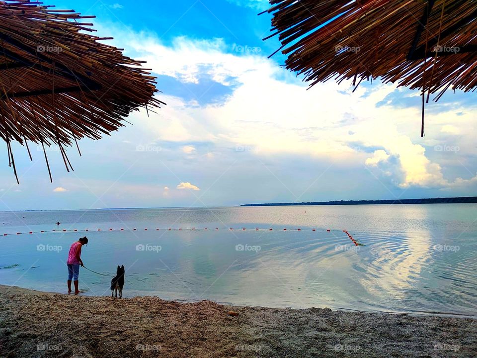 Seashore on a summer evening. A woman with a dog walks on the shore. White clouds are reflected in the blue water of the sea. In the foreground, thatched roofs of sun protection structures are visible.