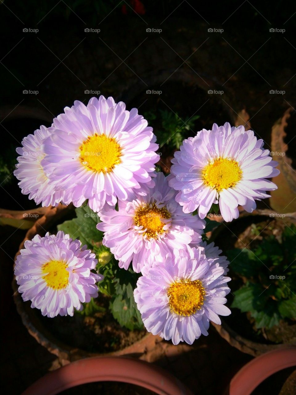 Nature says.. learn to hear