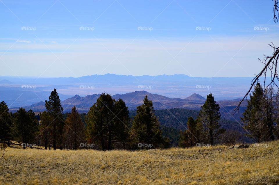 A little fresh air to clear the mind