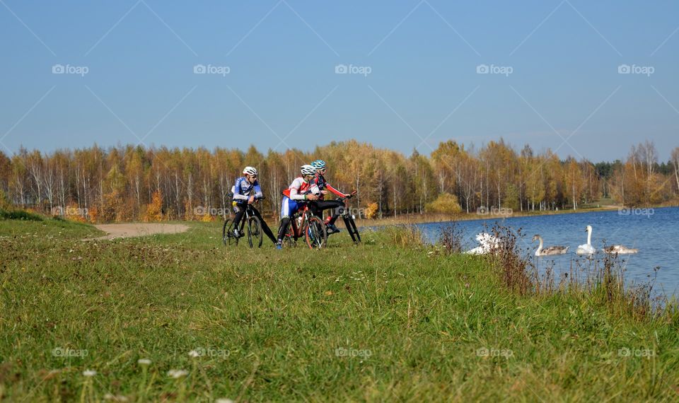 people riding on a bikes autumn beautiful landscape and swans on a lake