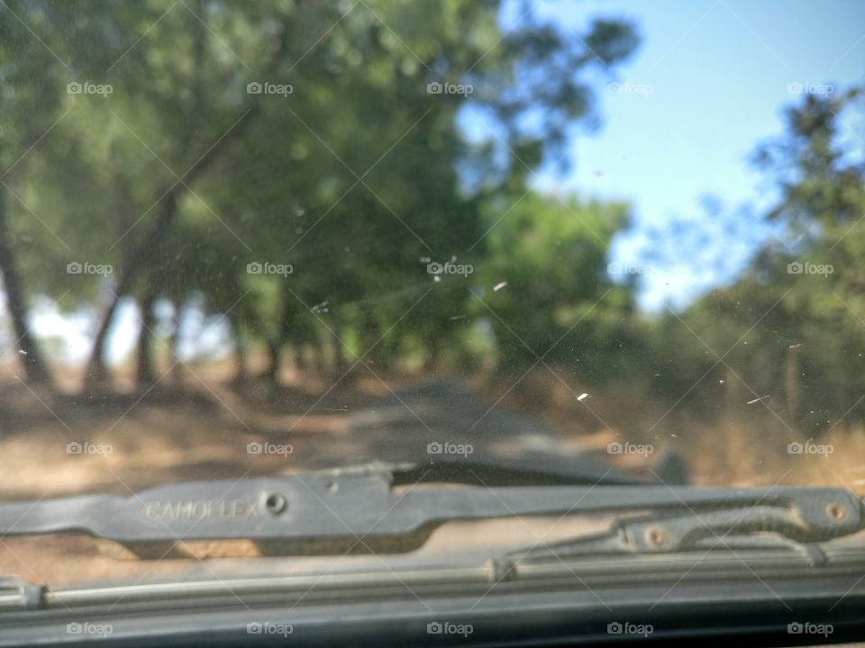 Blurry windshield