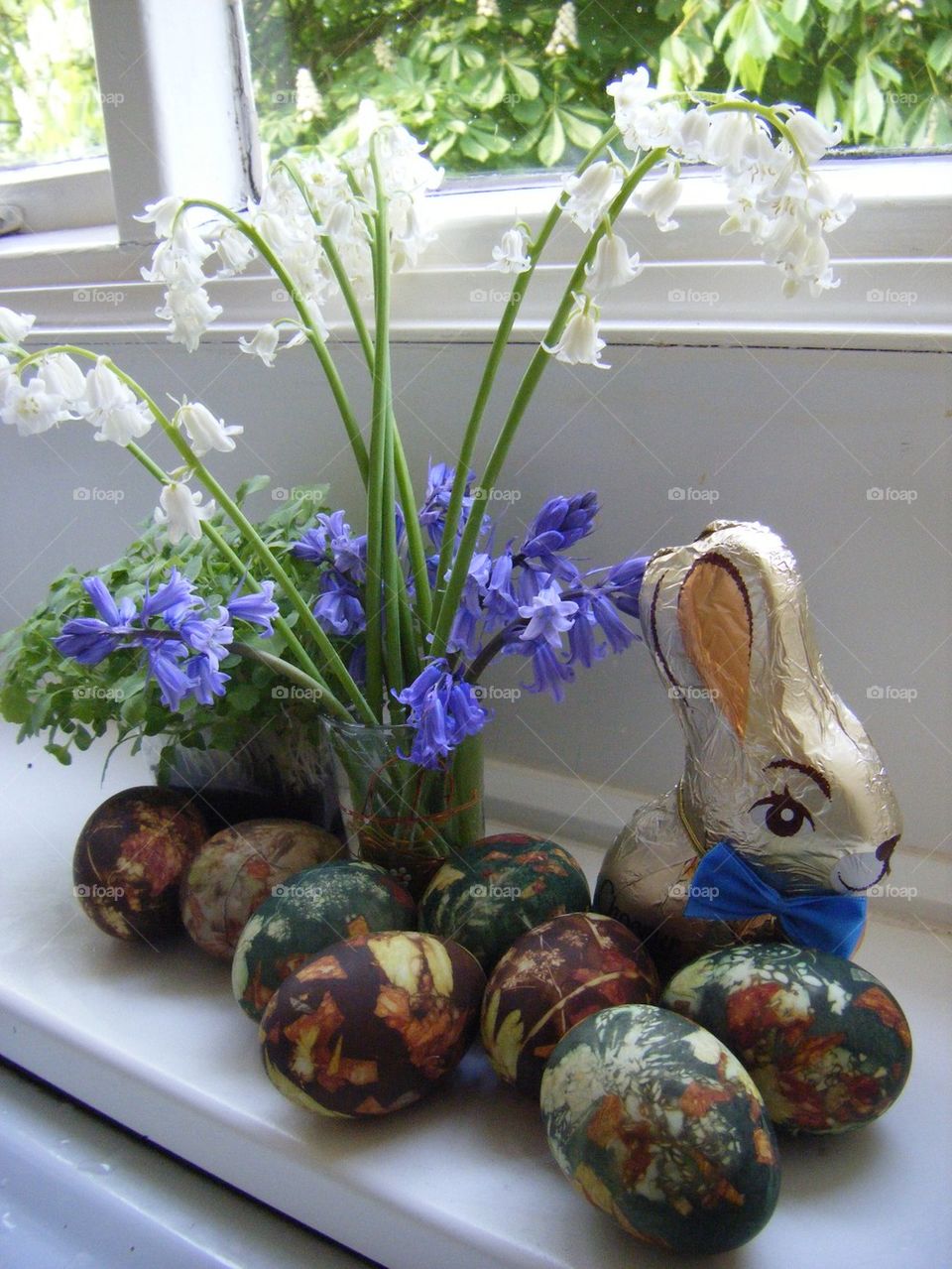 Spring on the windowsill 