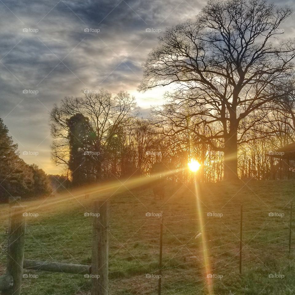 sunset in the south